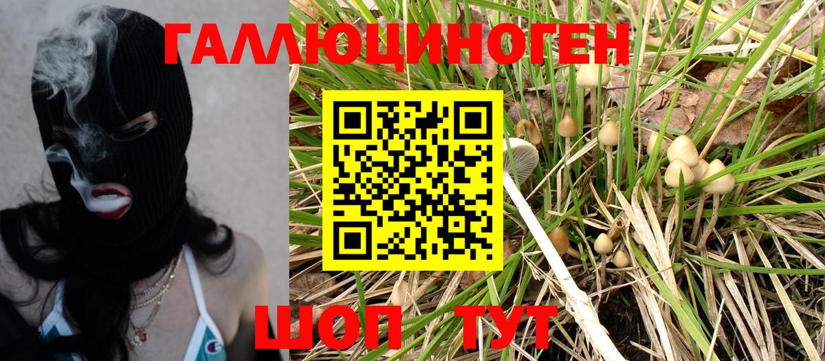 Галлюциногенные грибы мицелий  Вход с VPN  Альметьевск 